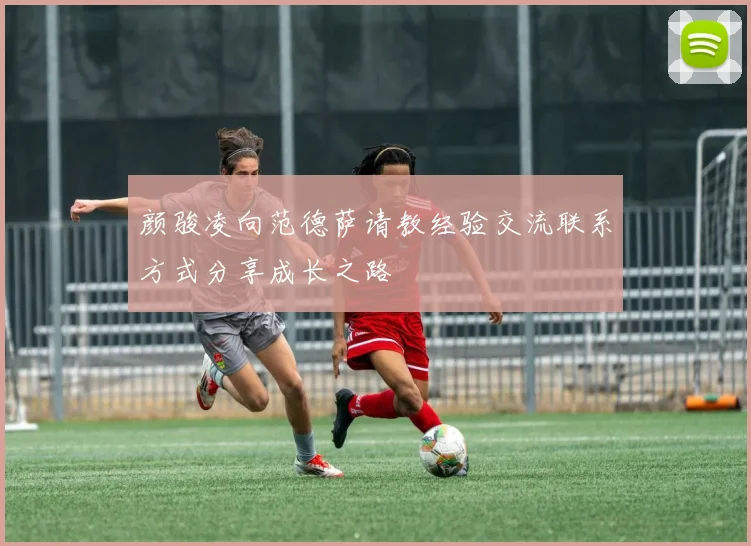 颜骏凌向范德萨请教经验交流联系方式分享成长之路